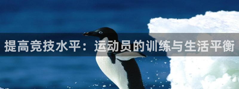 九球体育精彩足球赛事nba：提高竞技水平：运动员的训练与生活平衡