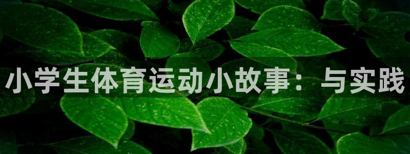 九球体育免费直播：小学生体育运动小故事：与实践