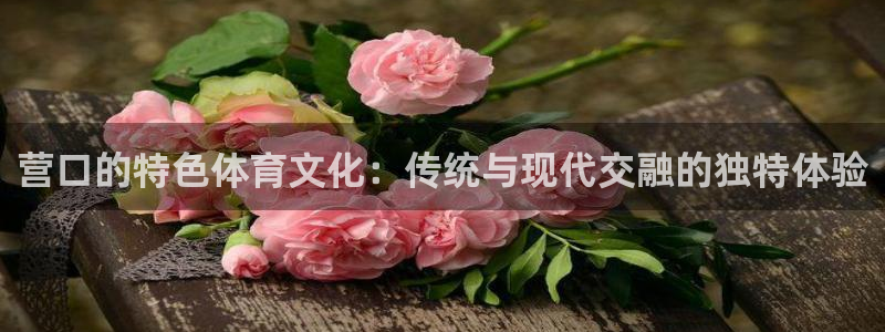 九球体育苹果版下载：营口的特色体育文化：传统与现代交融的独特体验