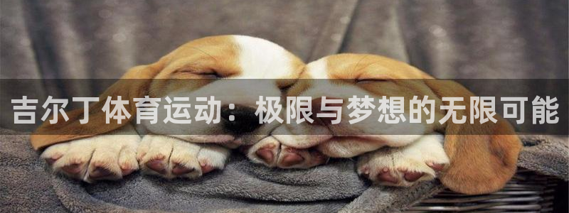 九球体育原声直播：吉尔丁体育运动：极限与梦想的无限可能