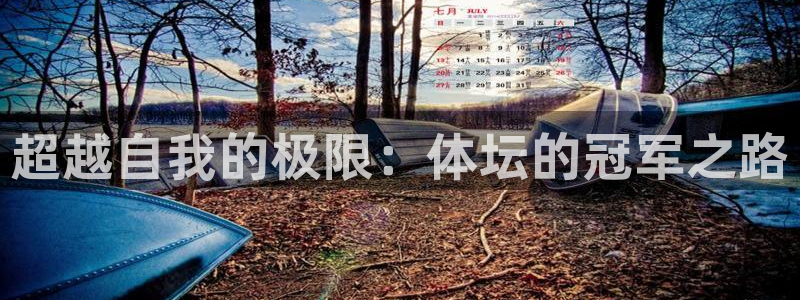 九球体育和那个平台合作：超越自我的极限：体坛的冠军之路